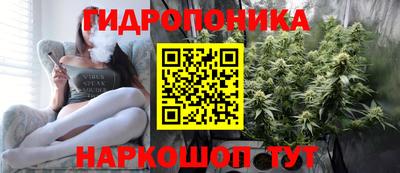 индика Малгобек