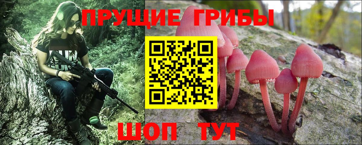 Галлюциногенные грибы Psilocybe  Вход с VPN  Чернушка 