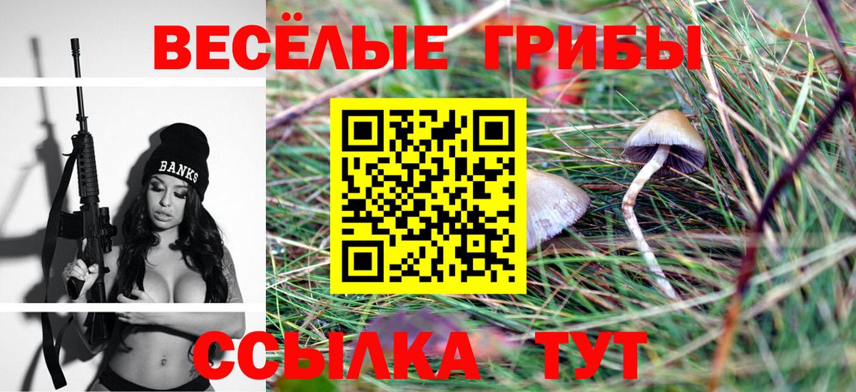 Каннабис Чернушка